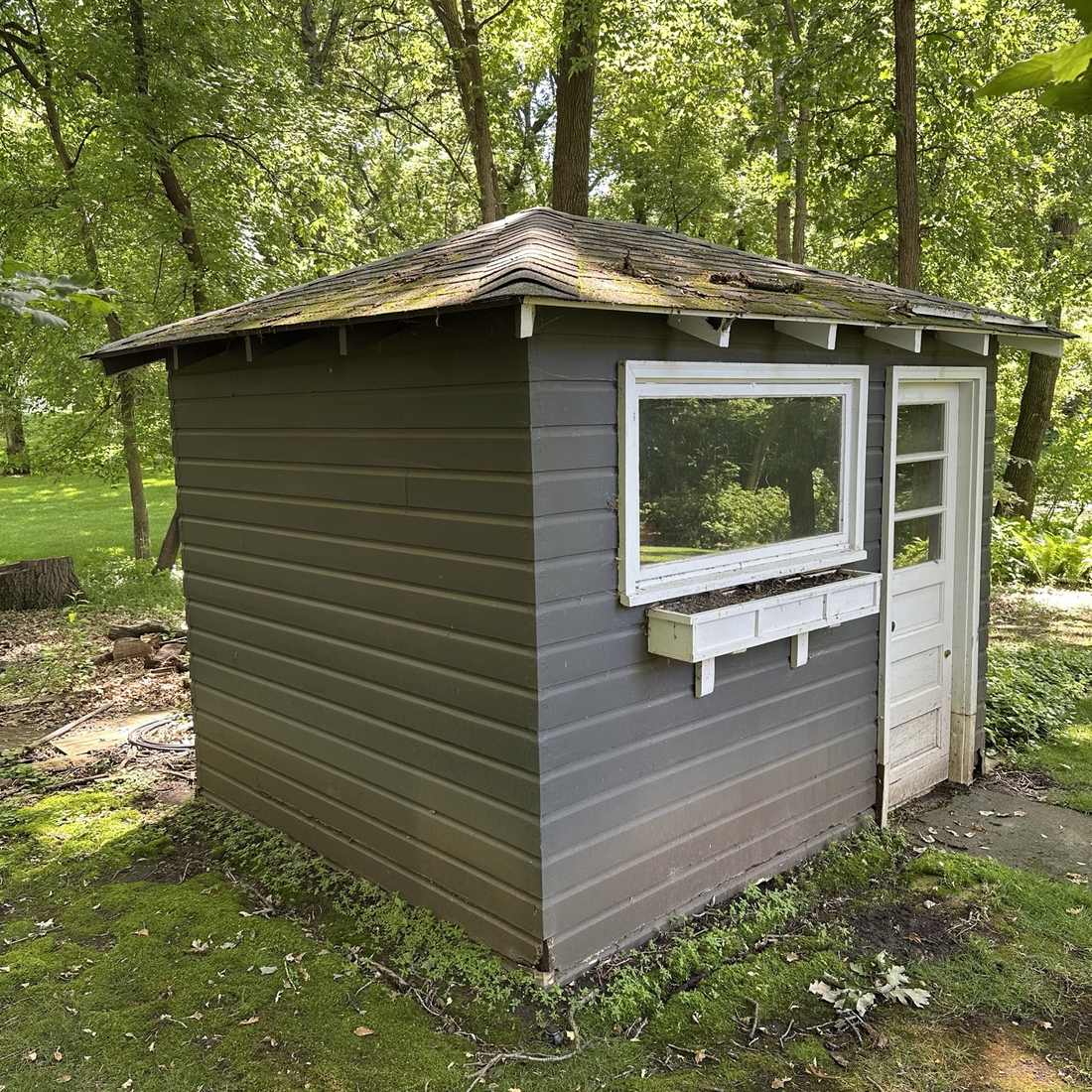8x10 gray garden shed in a wooded Twin Cities backyard before demolition