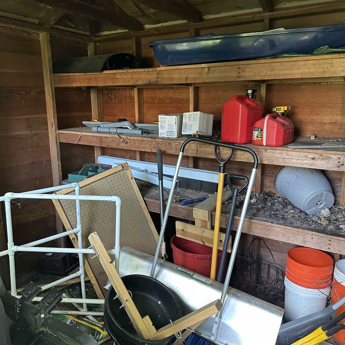 Shed interior packed with tools, fuel cans, and garden gear before cleanout